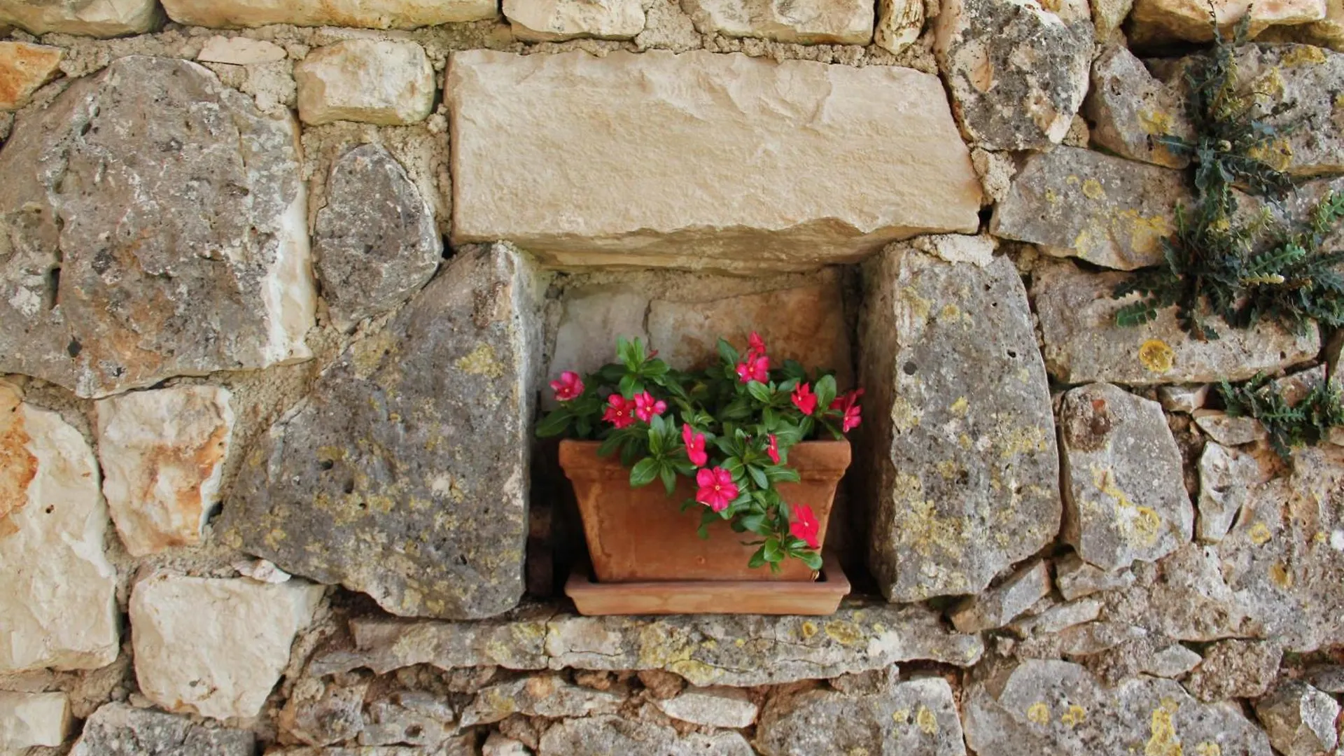 Hébergement de vacances Modernes Ferienhaus In Krnica Mit Grossem Garten Croatie